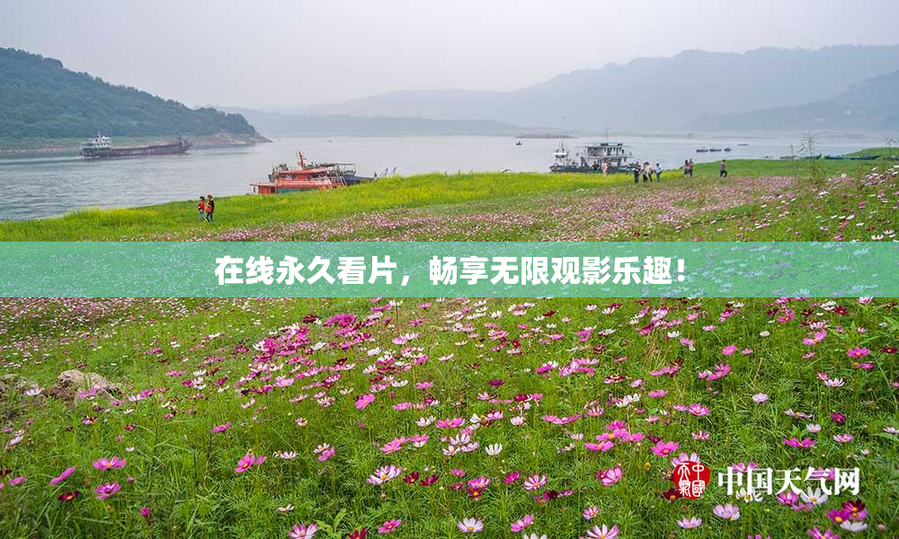 在线永久看片，畅享无限观影乐趣！