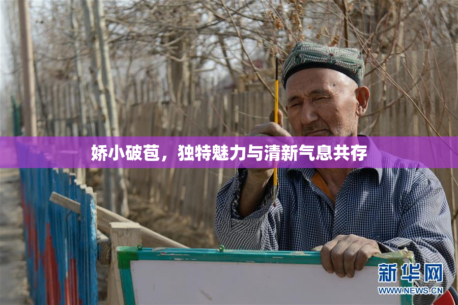 娇小破苞，独特魅力与清新气息共存