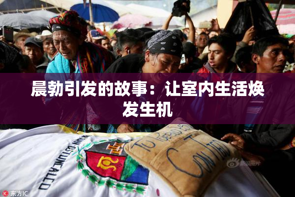 晨勃引发的故事：让室内生活焕发生机