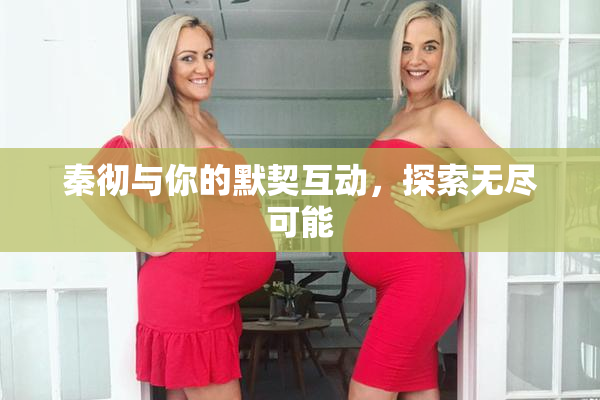 秦彻与你的默契互动，探索无尽可能