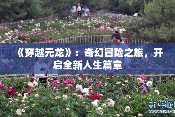 《穿越元龙》：奇幻冒险之旅，开启全新人生篇章