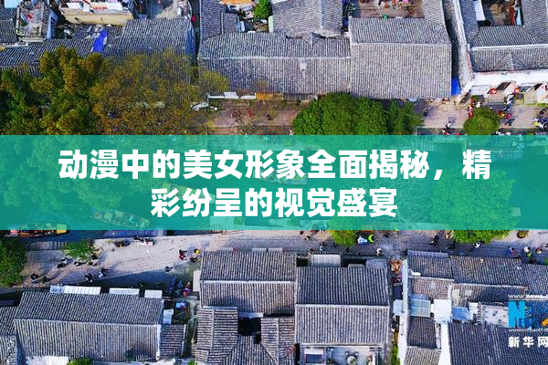 动漫中的美女形象全面揭秘，精彩纷呈的视觉盛宴
