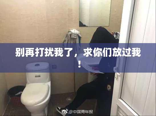 别再打扰我了，求你们放过我！