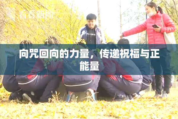 向咒回向的力量，传递祝福与正能量