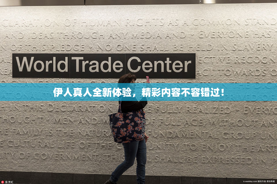 伊人真人全新体验，精彩内容不容错过！