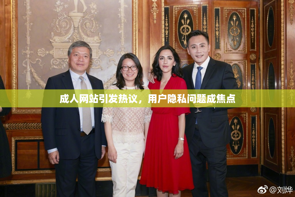 成人网站引发热议，用户隐私问题成焦点