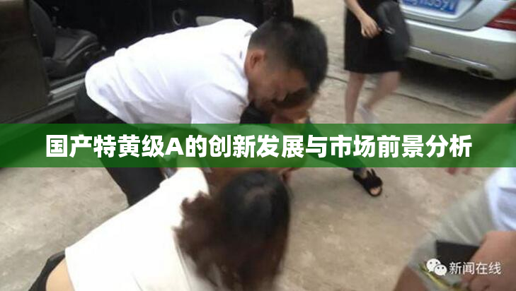 国产特黄级A的创新发展与市场前景分析