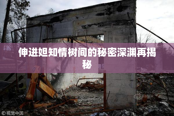 伸进妲知情树间的秘密深渊再揭秘