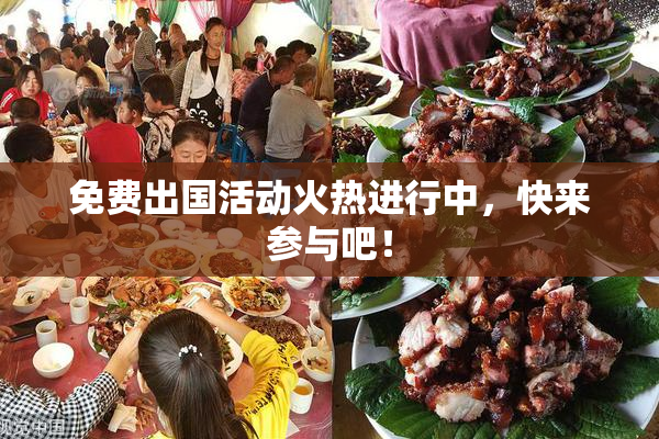 免费出国活动火热进行中，快来参与吧！
