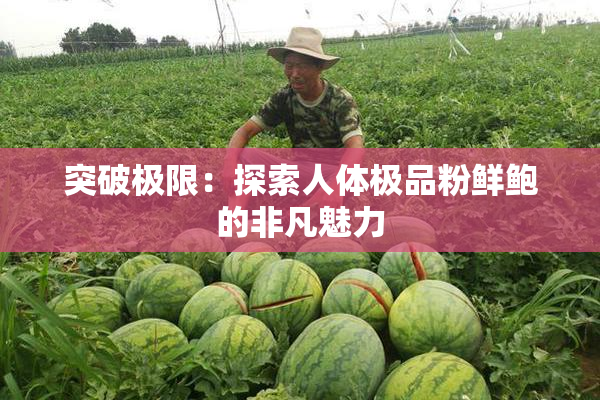 突破极限：探索人体极品粉鲜鲍的非凡魅力