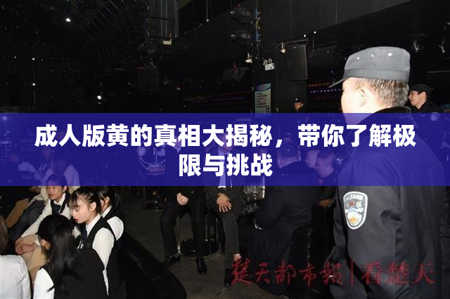 成人版黄的真相大揭秘，带你了解极限与挑战