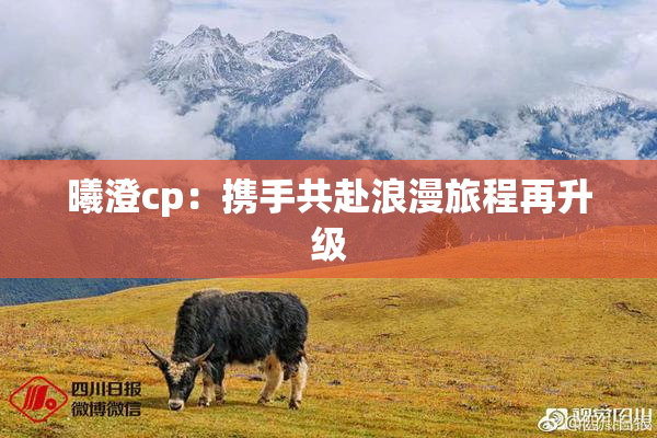 曦澄cp：携手共赴浪漫旅程再升级