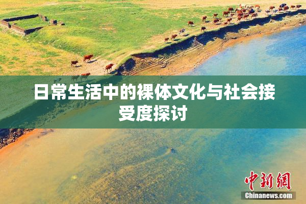 日常生活中的裸体文化与社会接受度探讨