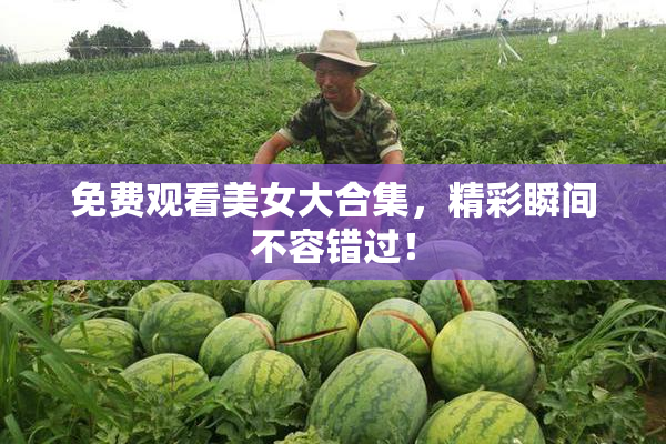 免费观看美女大合集，精彩瞬间不容错过！