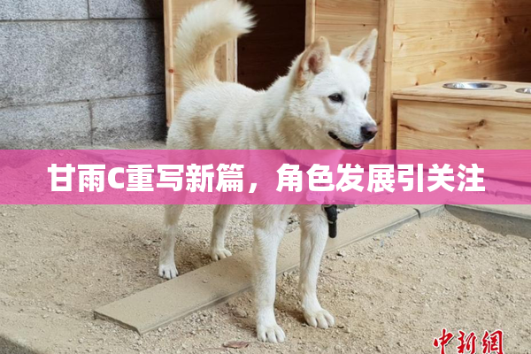 甘雨C重写新篇，角色发展引关注
