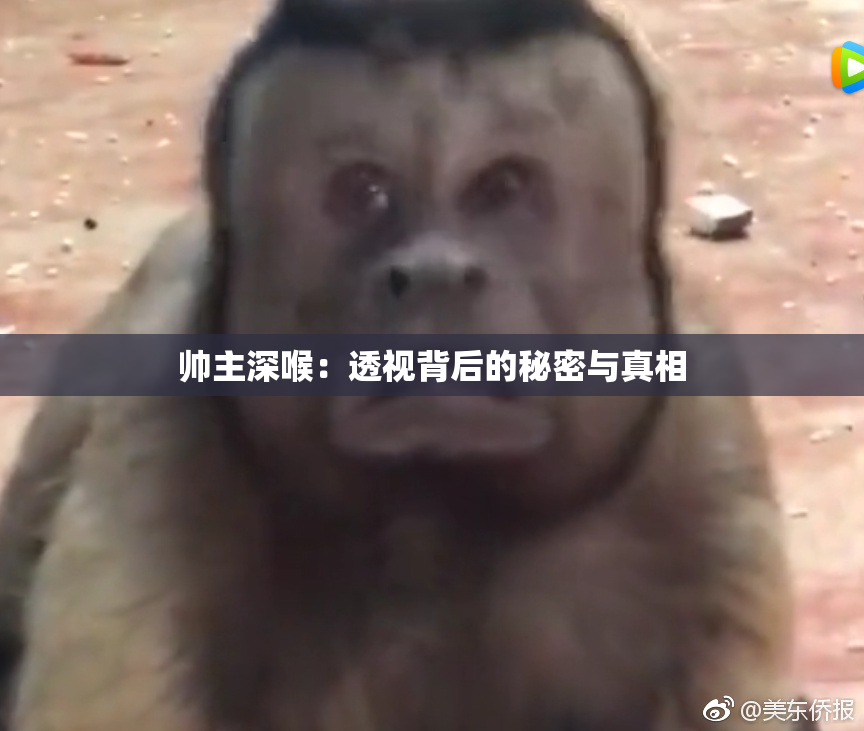 帅主深喉：透视背后的秘密与真相