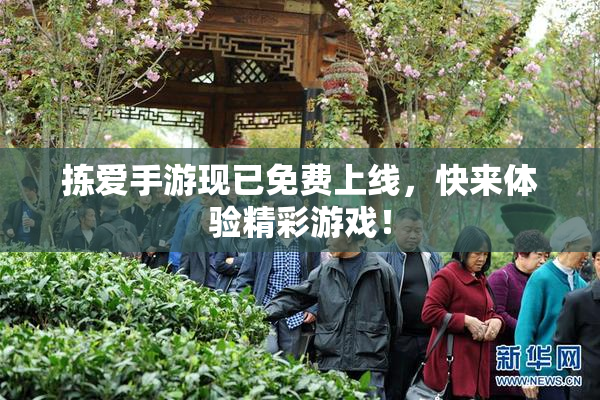 拣爱手游现已免费上线，快来体验精彩游戏！