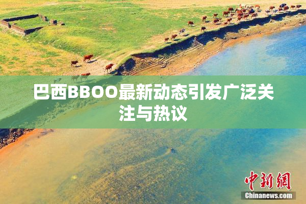 巴西BBOO最新动态引发广泛关注与热议
