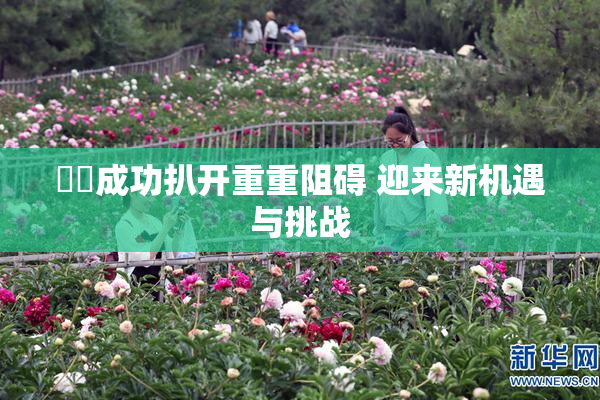 妺妺成功扒开重重阻碍 迎来新机遇与挑战