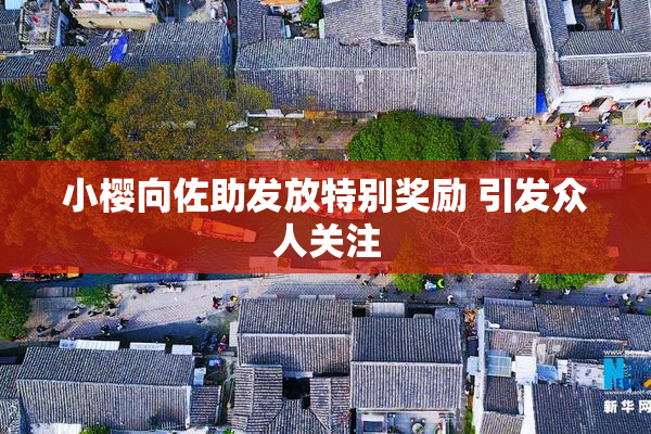小樱向佐助发放特别奖励 引发众人关注