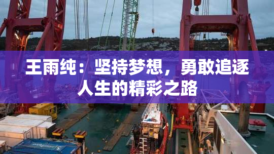 王雨纯：坚持梦想，勇敢追逐人生的精彩之路