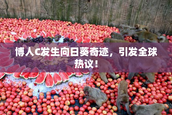 博人C发生向日葵奇迹，引发全球热议！