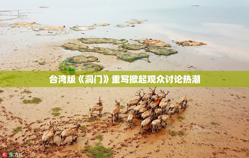 台湾版《洞门》重写掀起观众讨论热潮