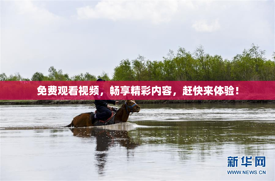 免费观看视频，畅享精彩内容，赶快来体验！