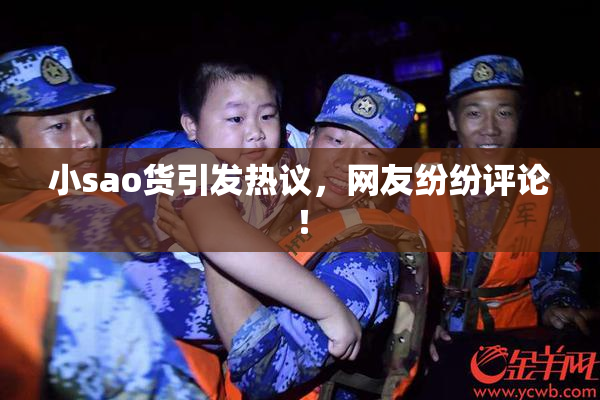 小sao货引发热议，网友纷纷评论！