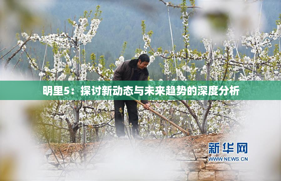 明里5：探讨新动态与未来趋势的深度分析