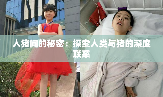 人猪间的秘密：探索人类与猪的深度联系