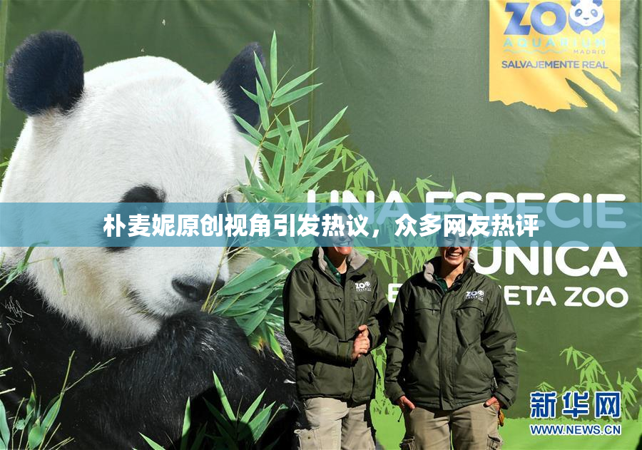 朴麦妮原创视角引发热议，众多网友热评