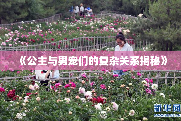 《公主与男宠们的复杂关系揭秘》