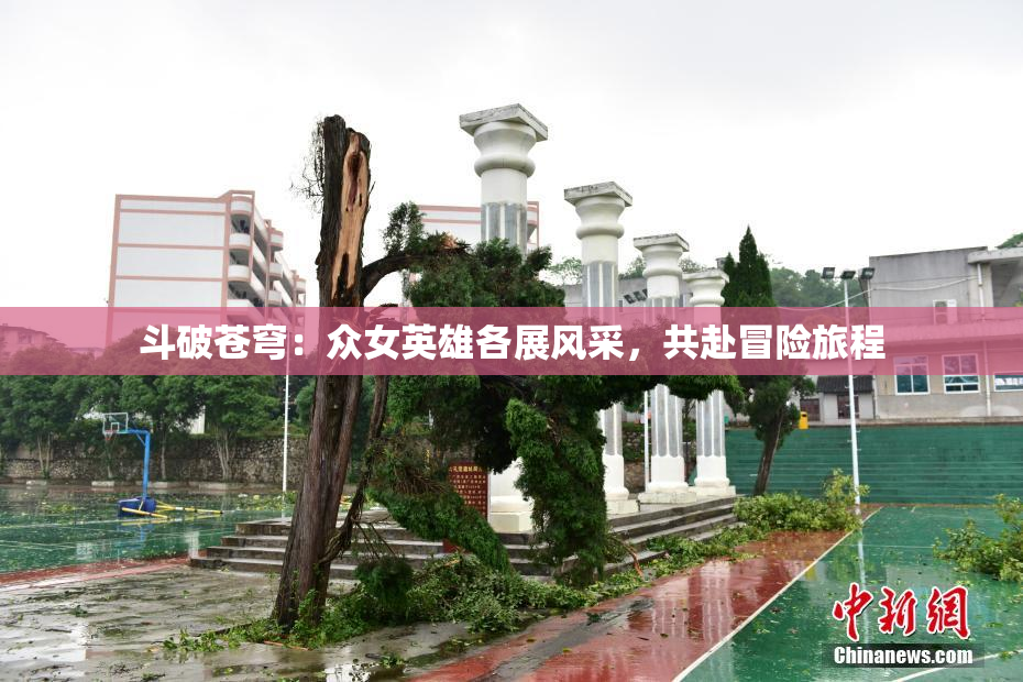斗破苍穹：众女英雄各展风采，共赴冒险旅程