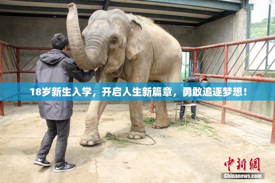 18岁新生入学，开启人生新篇章，勇敢追逐梦想！