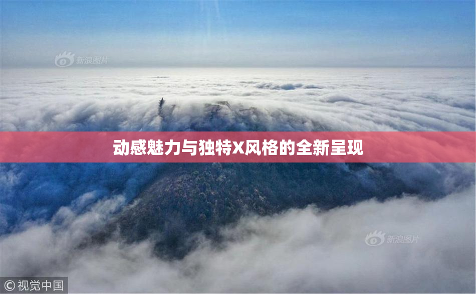 动感魅力与独特X风格的全新呈现