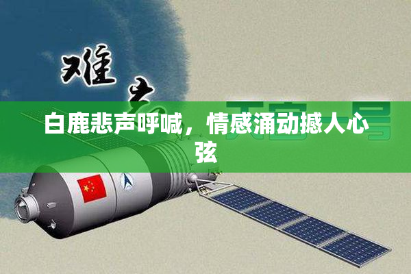 白鹿悲声呼喊，情感涌动撼人心弦
