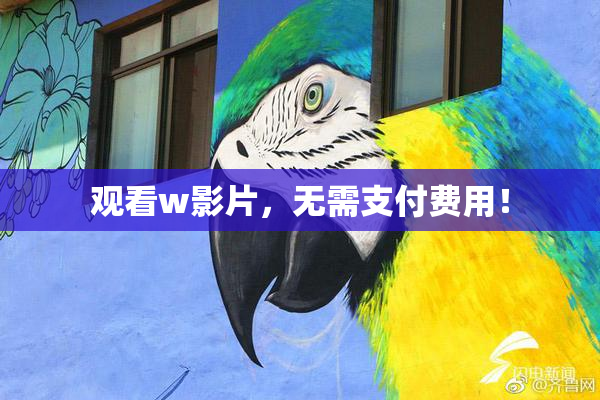 观看w影片，无需支付费用！