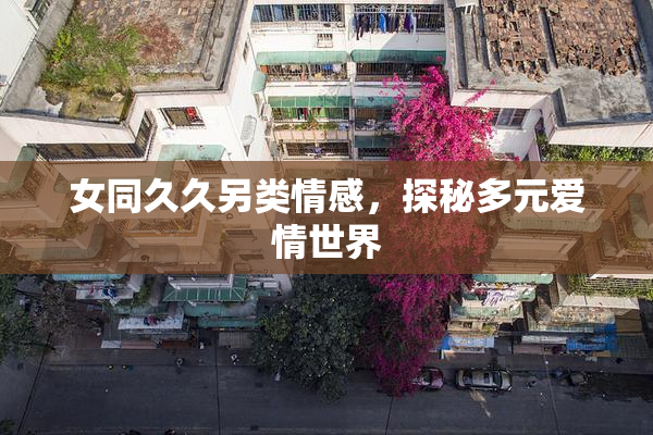 女同久久另类情感，探秘多元爱情世界