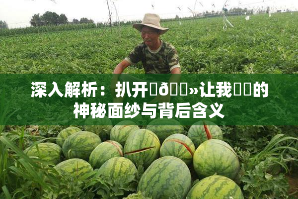 深入解析：扒开‌🐻让我❌‌的神秘面纱与背后含义