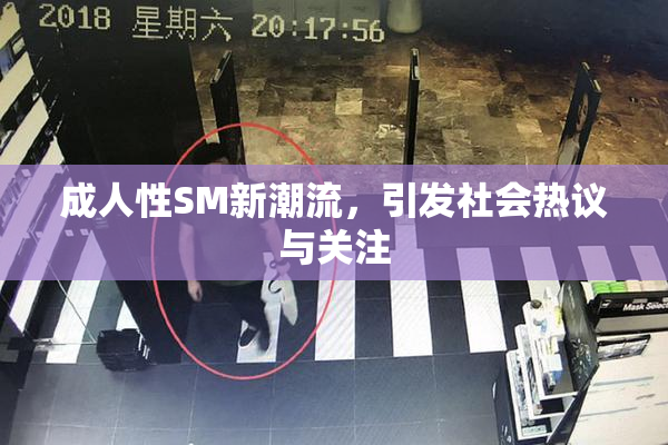 成人性SM新潮流，引发社会热议与关注