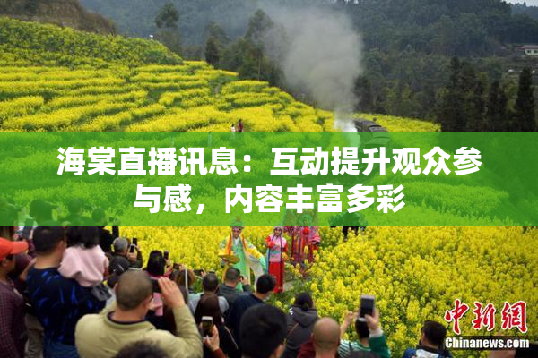 海棠直播讯息：互动提升观众参与感，内容丰富多彩