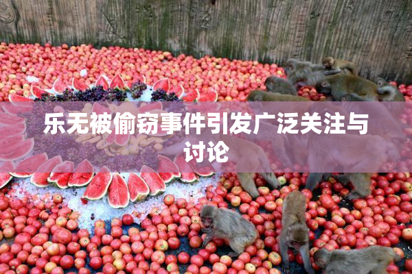乐无被偷窃事件引发广泛关注与讨论