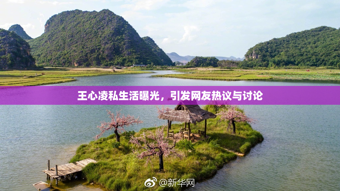 王心凌私生活曝光，引发网友热议与讨论