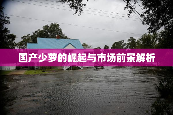 国产少萝的崛起与市场前景解析