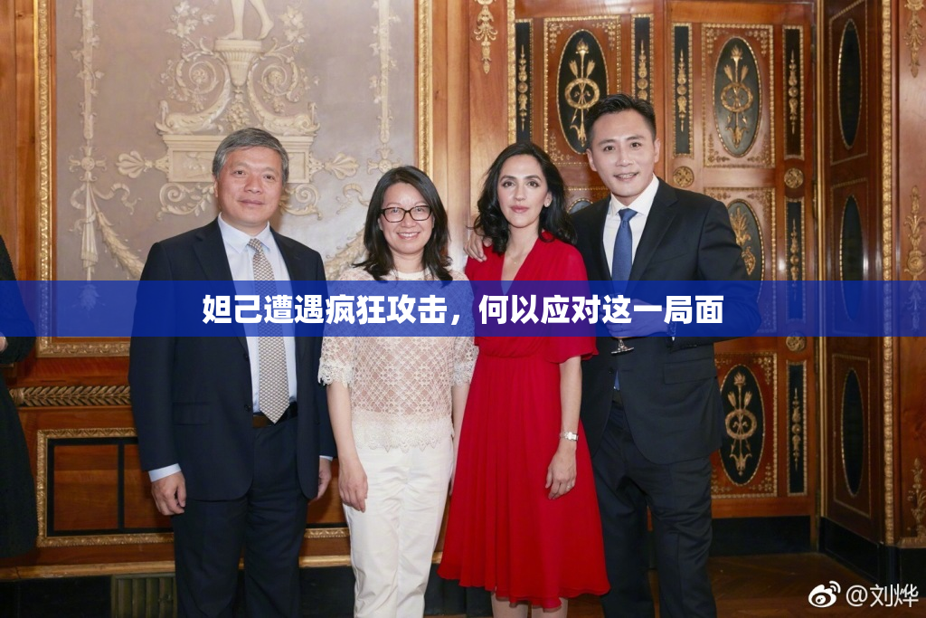 妲己遭遇疯狂攻击，何以应对这一局面