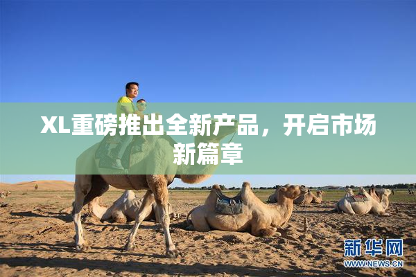 XL重磅推出全新产品，开启市场新篇章