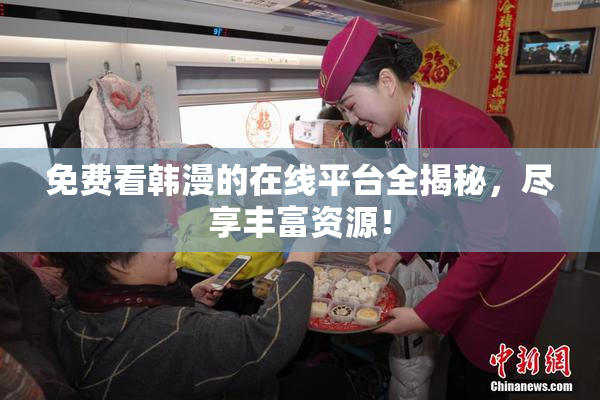 免费看韩漫的在线平台全揭秘，尽享丰富资源！