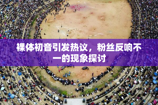 裸体初音引发热议，粉丝反响不一的现象探讨