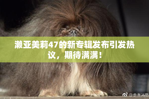 濑亚美莉47的新专辑发布引发热议，期待满满！